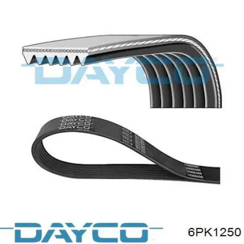 Comprar 6PK1250 Dayco Correa trapezoidal
