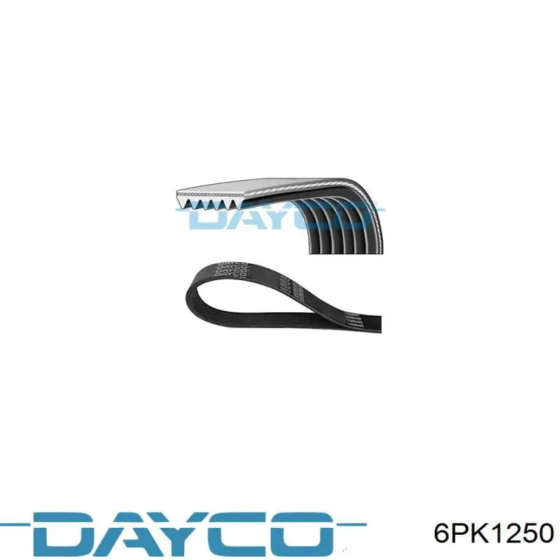 Correa de transmisión trapezoidal Dayco 6PK1250 precio, desde 29,60 EUR
