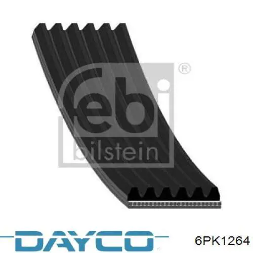 Correa de transmisión trapezoidal Dayco 6PK1264 precio, desde 24,49 EUR