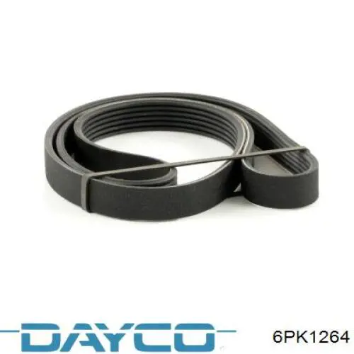 Comprar 6PK1264 Dayco Correa trapezoidal