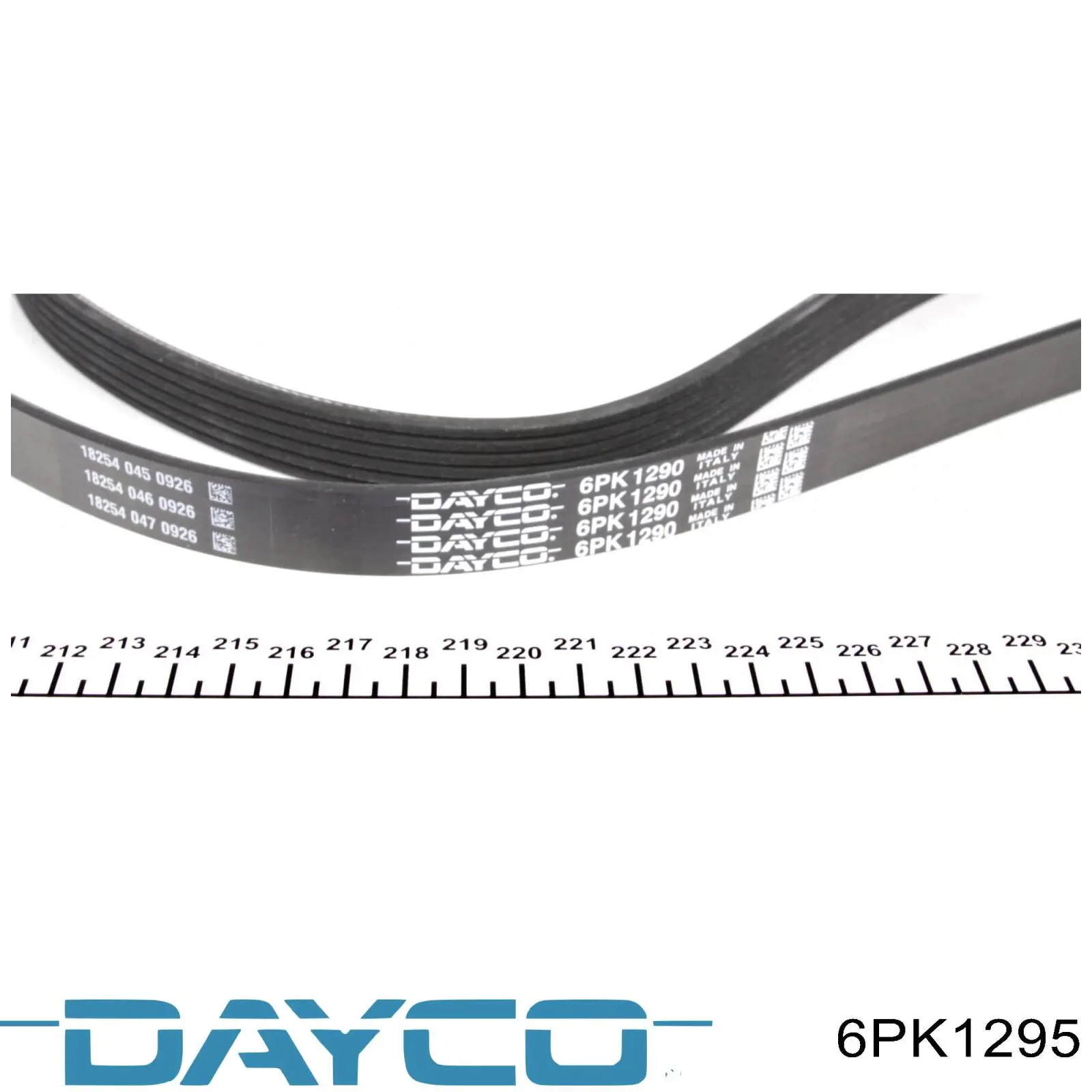 6PK1295 Dayco correa trapezoidal