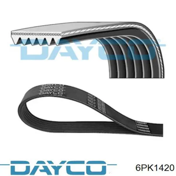 Comprar 6PK1420 Dayco Correa trapezoidal