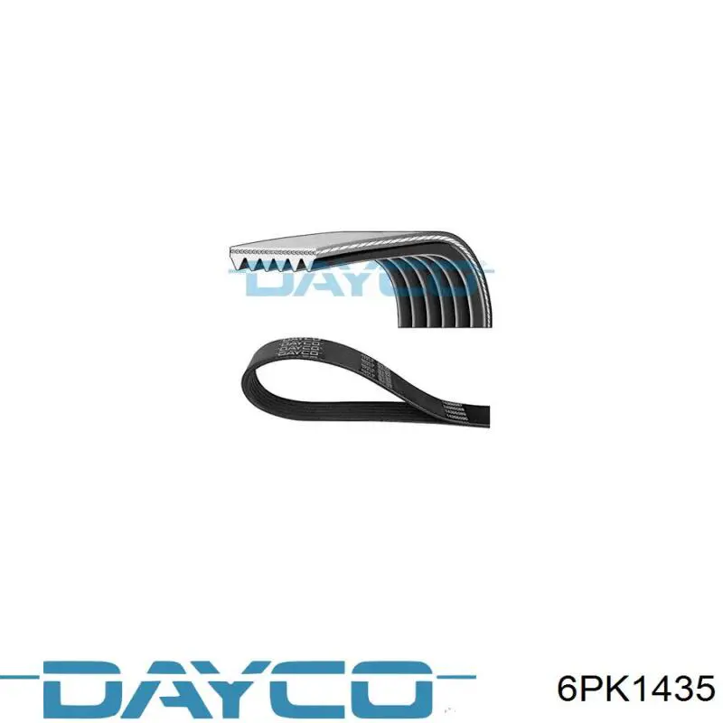 Correa de transmisión trapezoidal Dayco 6PK1435 precio, desde 30,21 EUR