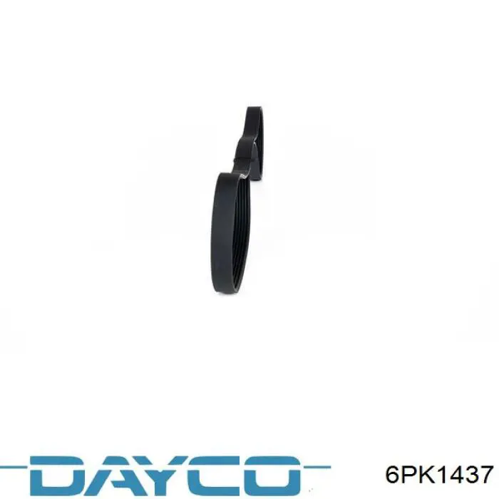 Comprar 6PK1437 Dayco Correa trapezoidal