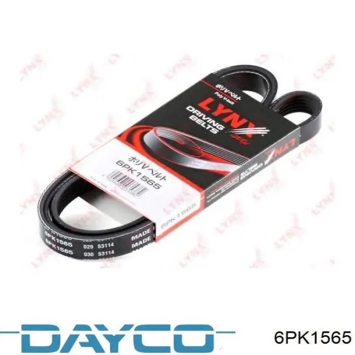 Correa de alternador 6PK1565 Dayco