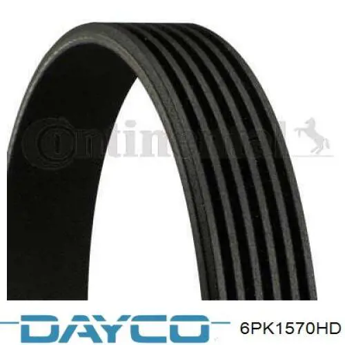 Comprar 6PK1570HD Dayco Correa trapezoidal