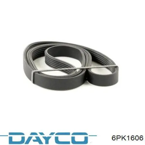 Correa de transmisión trapezoidal Dayco 6PK1606 precio, desde 31,33 EUR