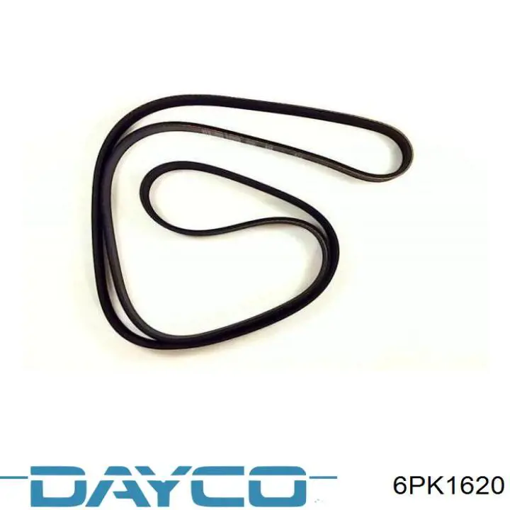 Correa de alternador 6PK1620 Dayco