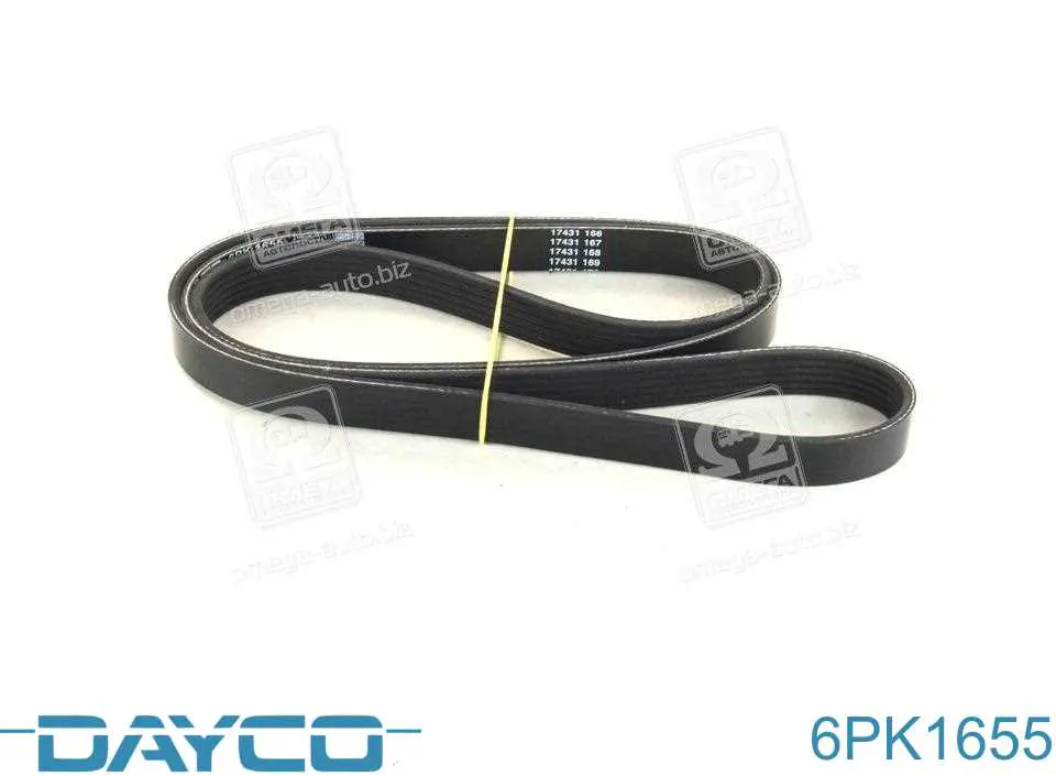 Comprar 6PK1655 Dayco Correa trapezoidal