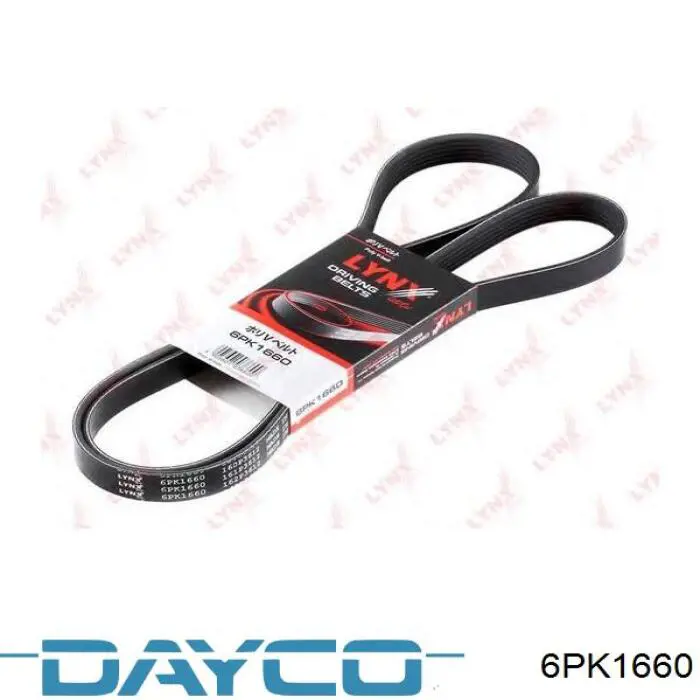 Correa de alternador 6PK1660 Dayco