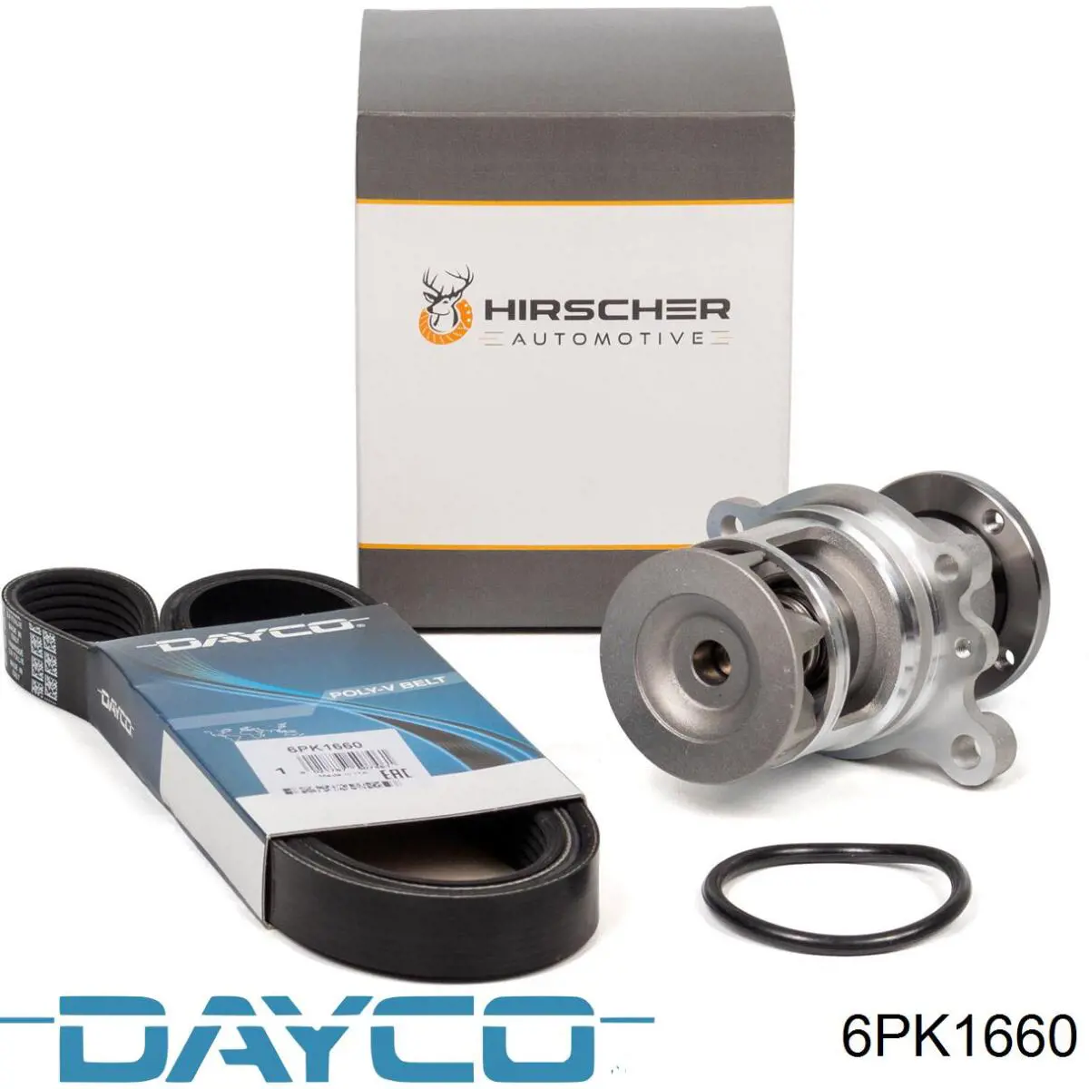Correa accesorios Dayco 6PK1660