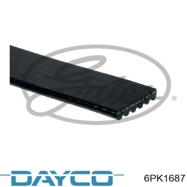 6PK1687 Dayco correa trapezoidal