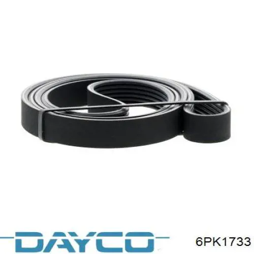 Comprar 6PK1733 Dayco Correa trapezoidal
