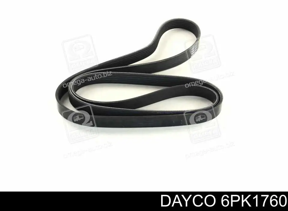 Correa de transmisión trapezoidal Dayco 6PK1760 precio, desde 33,59 EUR