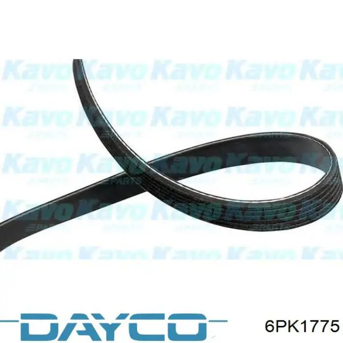 Correa accesorios Dayco 6PK1775