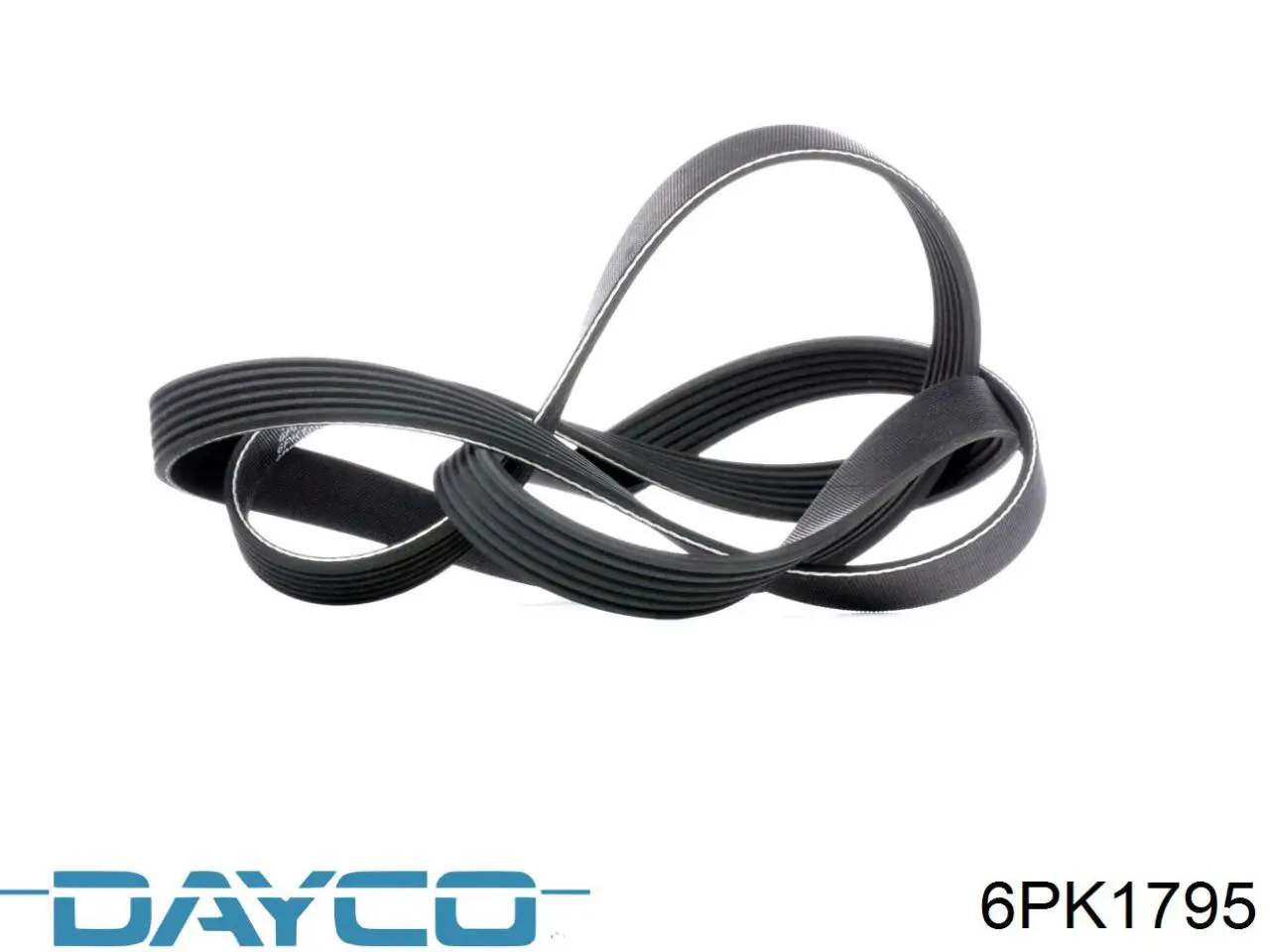 Comprar 6PK1795 Dayco Correa trapezoidal