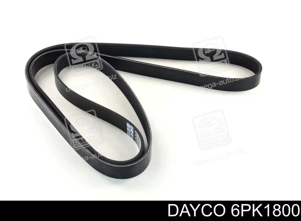 Comprar 6PK1800 Dayco Correa trapezoidal