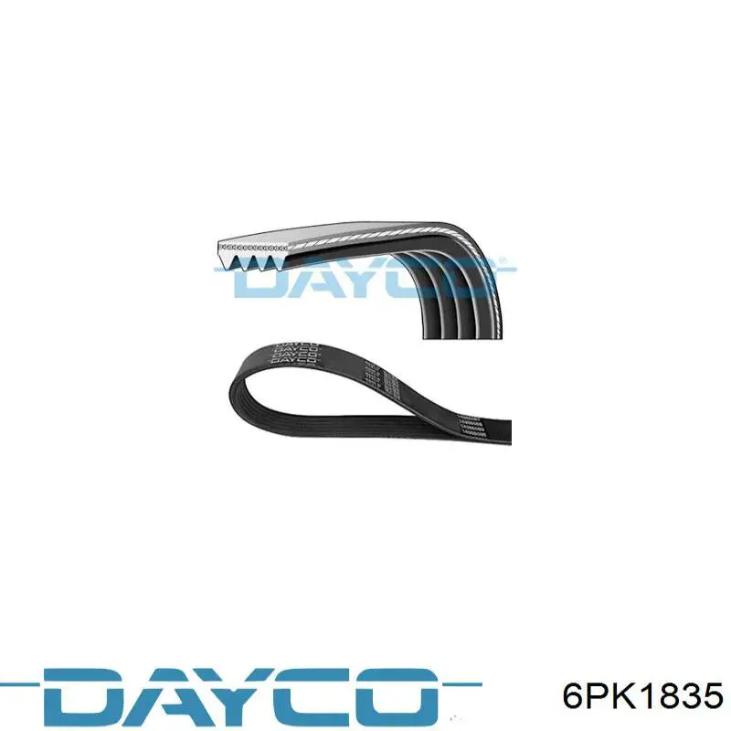 Comprar 6PK1835 Dayco Correa trapezoidal