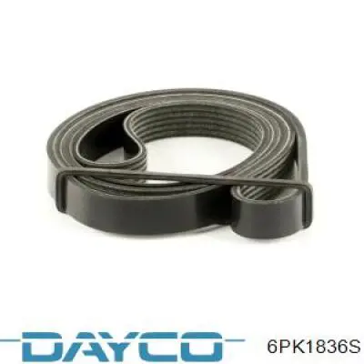 Correa de transmisión trapezoidal Dayco 6PK1836S precio, desde 32,61 EUR