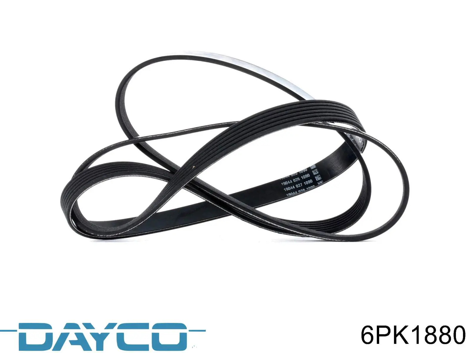 Correa de transmisión trapezoidal Dayco 6PK1880 precio, desde 36,16 EUR