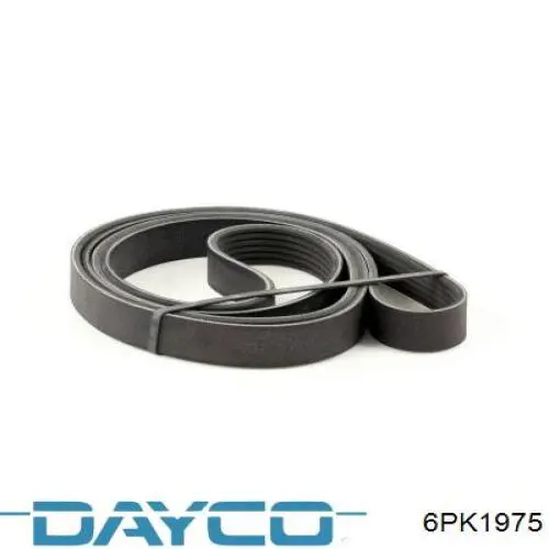 Correa accesorios Dayco 6PK1975