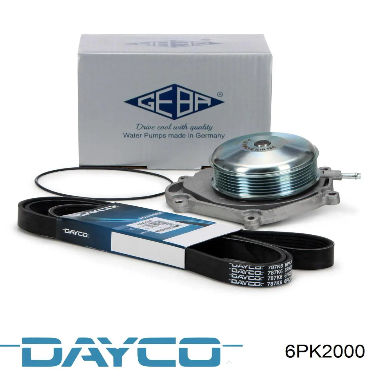 Comprar 6PK2000 Dayco Correa trapezoidal