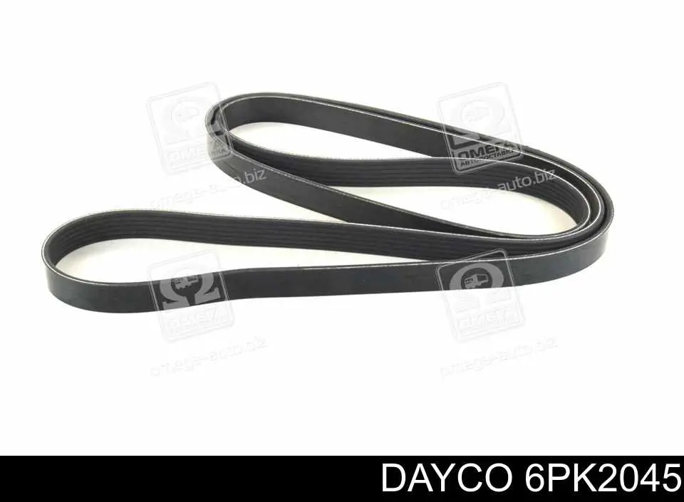 Correa de transmisión trapezoidal Dayco 6PK2045 precio, desde 24,62 EUR
