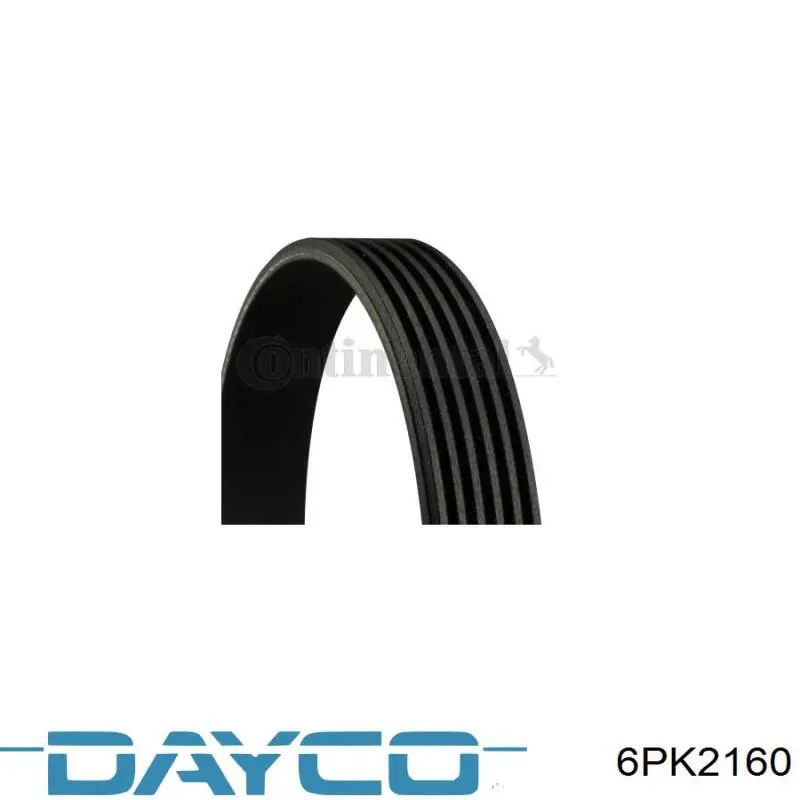 Correa de alternador 6PK2160 Dayco