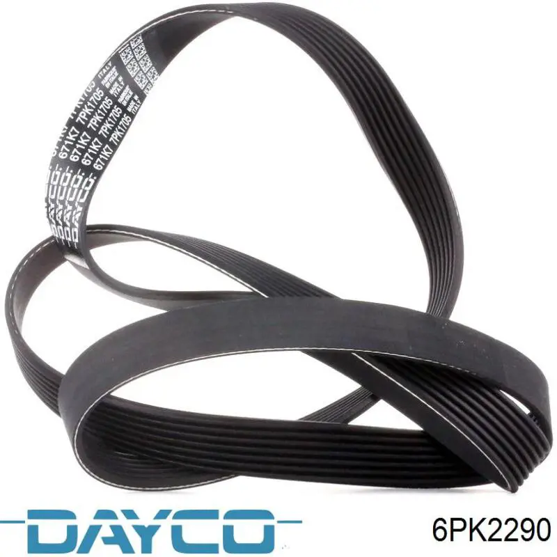 Comprar 6PK2290 Dayco Correa trapezoidal