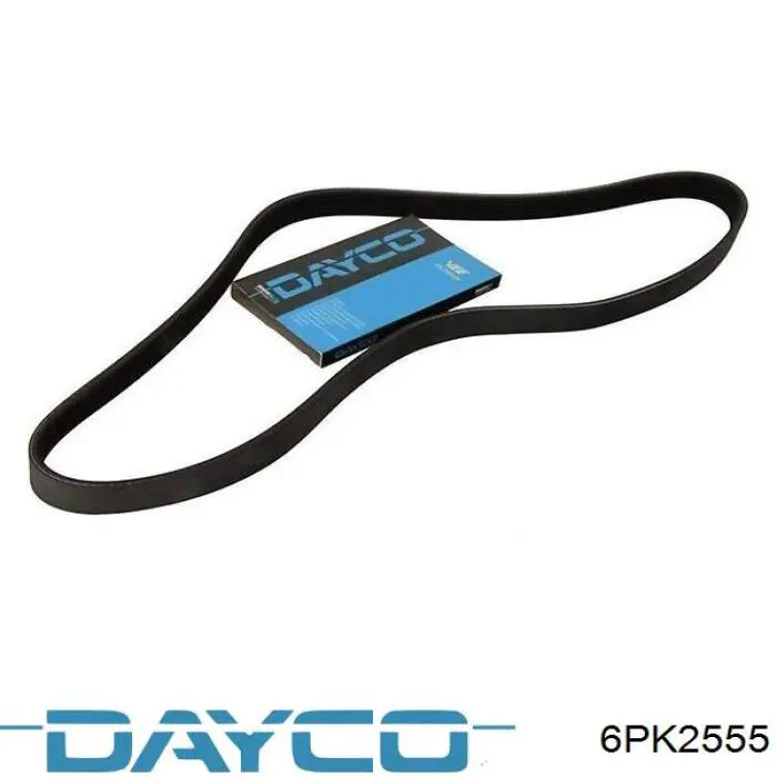 Correa de transmisión trapezoidal Dayco 6PK2555 precio, desde 28,80 EUR