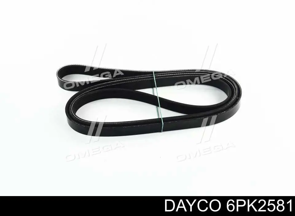 Correa de transmisión trapezoidal Dayco 6PK2581 precio, desde 58,96 EUR