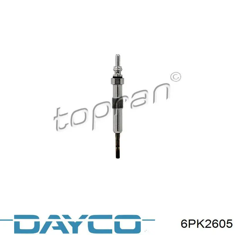 Comprar 6PK2605 Dayco Correa trapezoidal