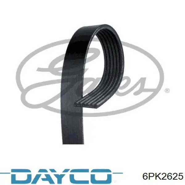 Comprar 6PK2625 Dayco Correa trapezoidal