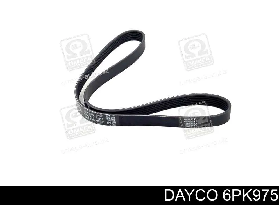 6PK975 Dayco Correa poly v
