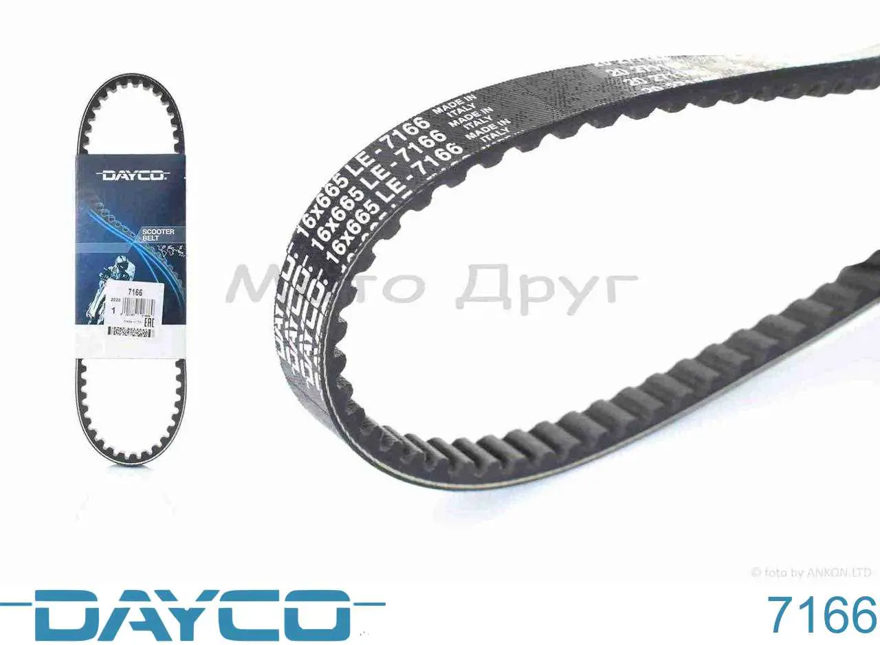 7166 Dayco Correa de variador