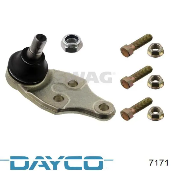 Comprar 7171 Dayco Correa de variador