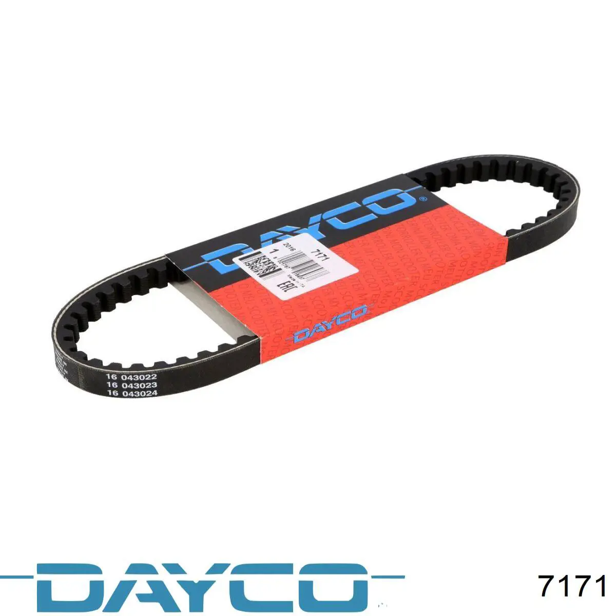 7171 Dayco Correa de variador