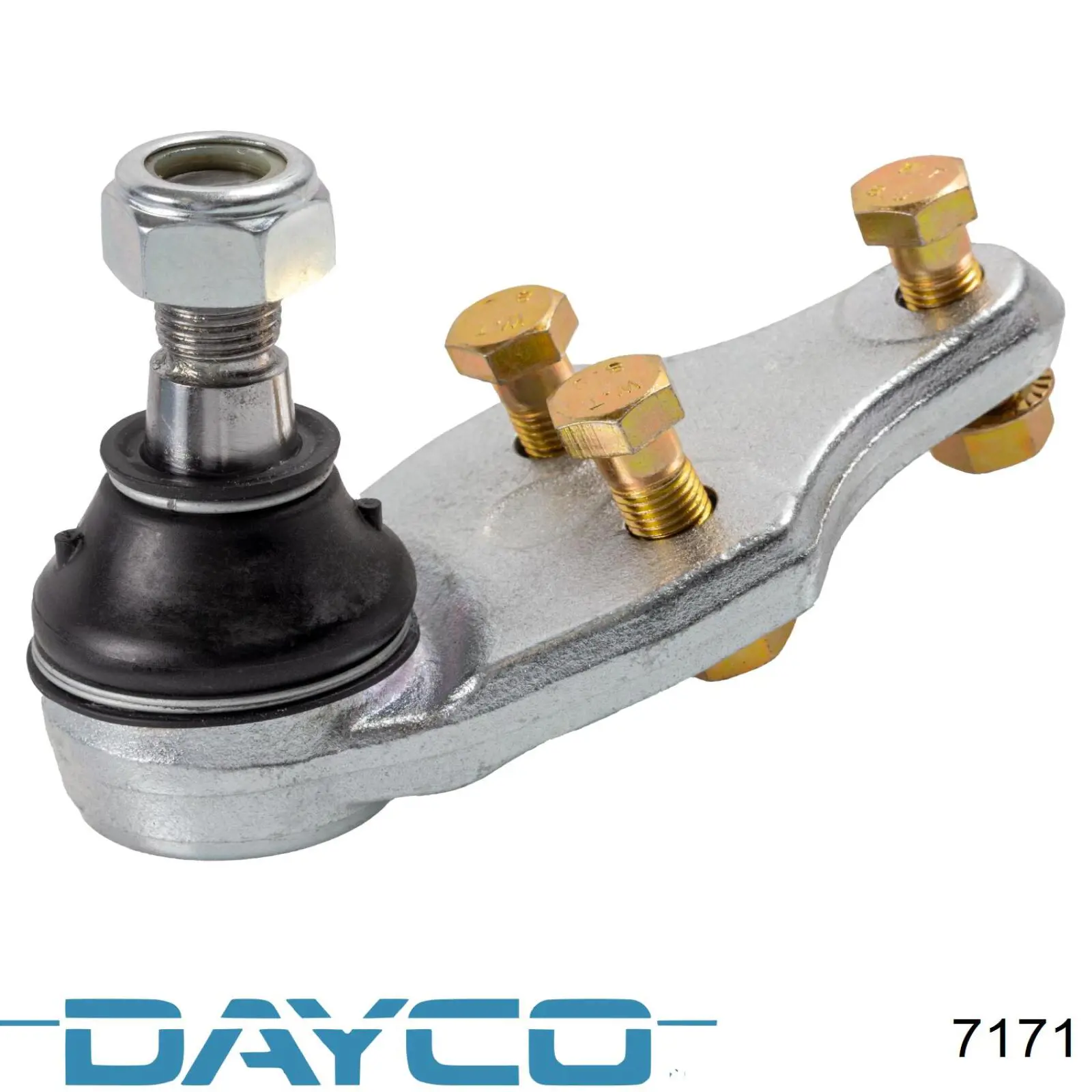 Correa de variador Dayco 7171 precio, desde 35,05 EUR
