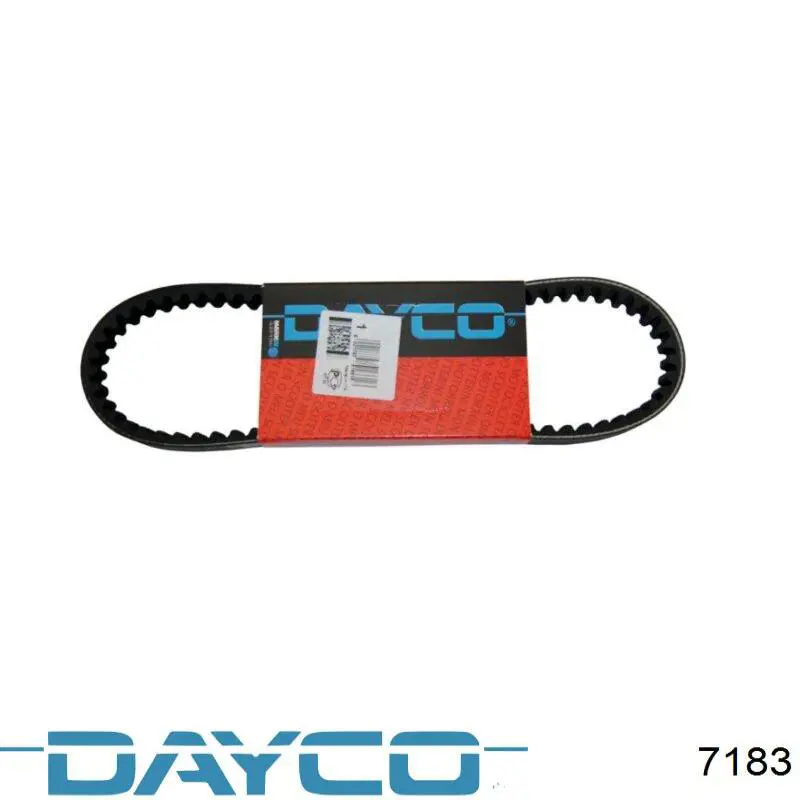  Dayco 7183 precio, desde 23,88 EUR