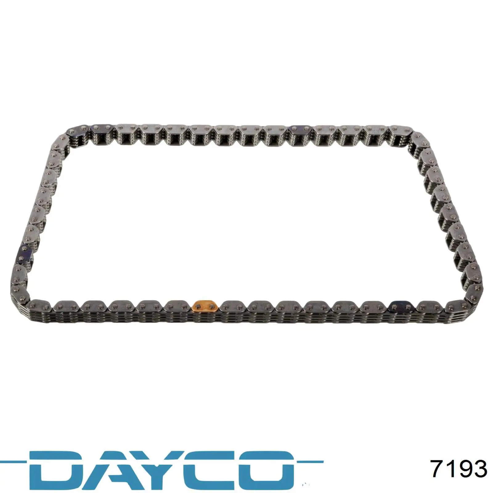 7193 Dayco Correa de variador