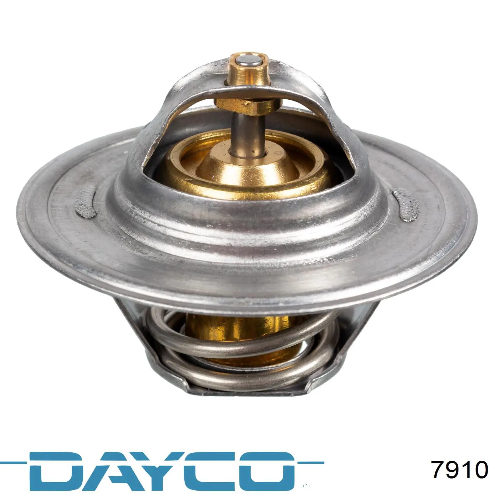 Correa de variador Dayco 7910 precio, desde 24,55 EUR