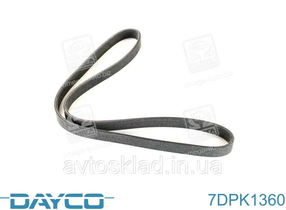 Correa de transmisión trapezoidal Dayco 7DPK1360 precio, desde 30,73 EUR