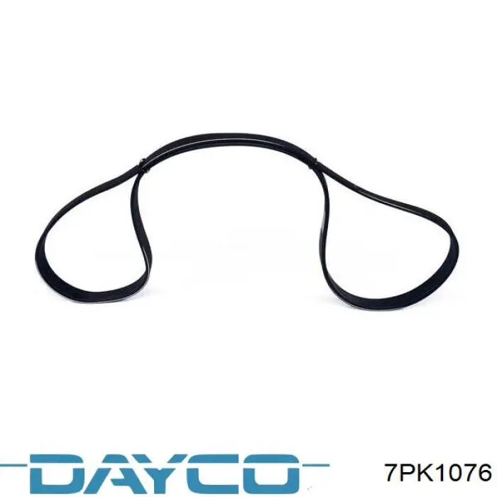 Correa de transmisión trapezoidal Dayco 7PK1076 precio, desde 32,62 EUR