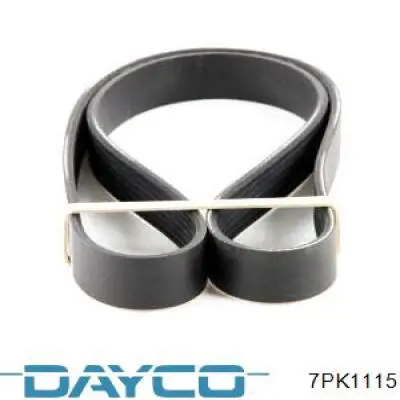 Correa de transmisión trapezoidal Dayco 7PK1115 precio, desde 29,68 EUR