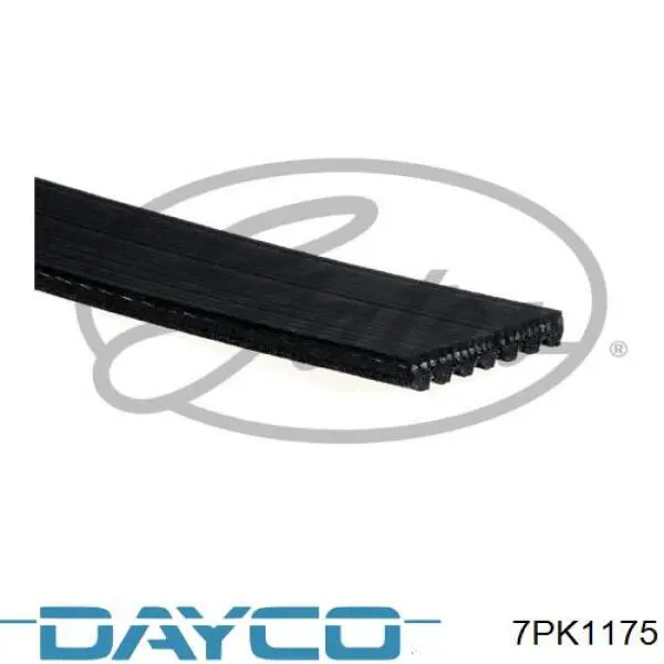 7PK1175 Dayco correa trapezoidal