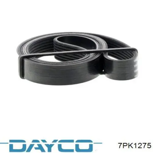 Correa de transmisión trapezoidal Dayco 7PK1275 precio, desde 31,86 EUR