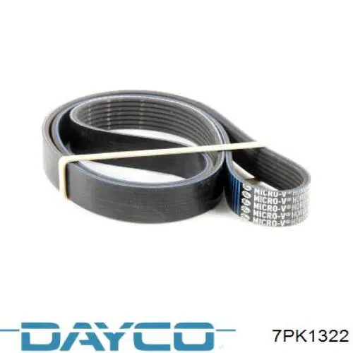 Correa de transmisión trapezoidal Dayco 7PK1322 precio, desde 21,53 EUR