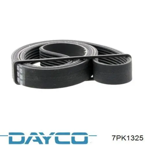 7PK1325 Dayco Correa poly v
