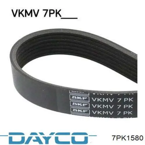 Correa de transmisión trapezoidal Dayco 7PK1580 precio, desde 28,42 EUR