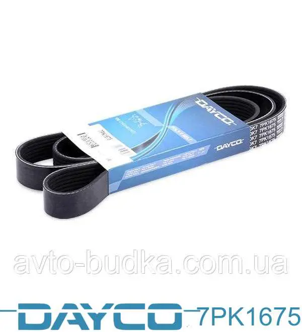 Comprar 7PK1675 Dayco Correa trapezoidal